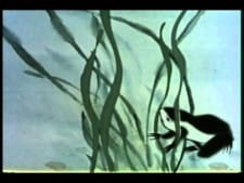 Xiao Kedou Zhao Mama