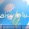 Daisy Blue
