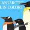 Nankyoku Penguin Colors