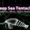 Deep Sea Tentacle