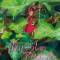 Karigurashi no Arrietty
