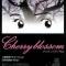 Cherry Blossom